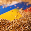 Tahıl anlaşması ile ilgili kritik gün 18 Kasım: Rusya son kararını verecek