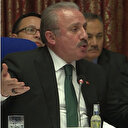 TBMM Başkanı Şentop'tan bütçe komisyonunu sabote eden HDP'li Gergerlioğlu'na tepki: Arkadaşı dışarıya çıkaralım