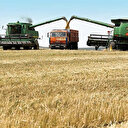 Pakistan hükümeti 300 bin ton Rus buğdayı alma planını onayladı