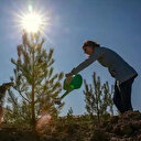 Bakan Kirişci açıkladı: Türkiye ağaçlandırmada Avrupa birincisi
