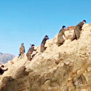 Zap artık çıkmaz sokak: 10 günde 7 PKK’lı teslim oldu