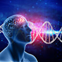 Mental ne demek? TDK kelime anlamı