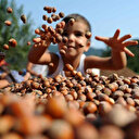 Fındıktan 10 ayda 1,3 milyar dolar