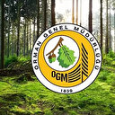 Orman Genel Müdürlüğü (OGM) işçi alımı başvurusu nasıl yapılır, başvuru şartları neler?