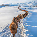 Anadolu’da festival heyecanı kalıcı: 4. Bingöl Kısa Film Festivali'nden izlenimler