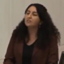 HDP'li Ebru Günay 'silah ve çatışma için ayrılan tutar' sözleriyle savunmaya ayrılan bütçeyi eleştirdi