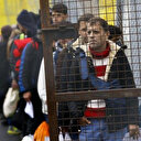 Avusturya'nın göçmen endişesi: Türkiye sınırında tel örgüler inşa edilmeli