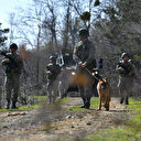 MSB: Yasa dışı yollarla ülkemizden Yunanistan’a geçmeye çalışan 3 kişi yakalandı