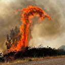 2022'yi anlatan en çarpıcı 12 fotoğraf