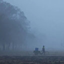 Hindistan'da yoğun sis hava ve demiryolu ulaşımını aksatıyor