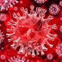 ECDC'den Kovid-19'un 'Kraken' alt varyantı için uyarı