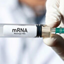 İngiltere Sağlık Bakanlığı BioNTech ile kanser aşısı için ortaklık yapacak