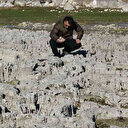Van Gölü kıyısında en büyük mikrobiyalit oluşumuna rastlandı