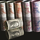 Bankalardaki döviz 40,6 milyar $ eridi