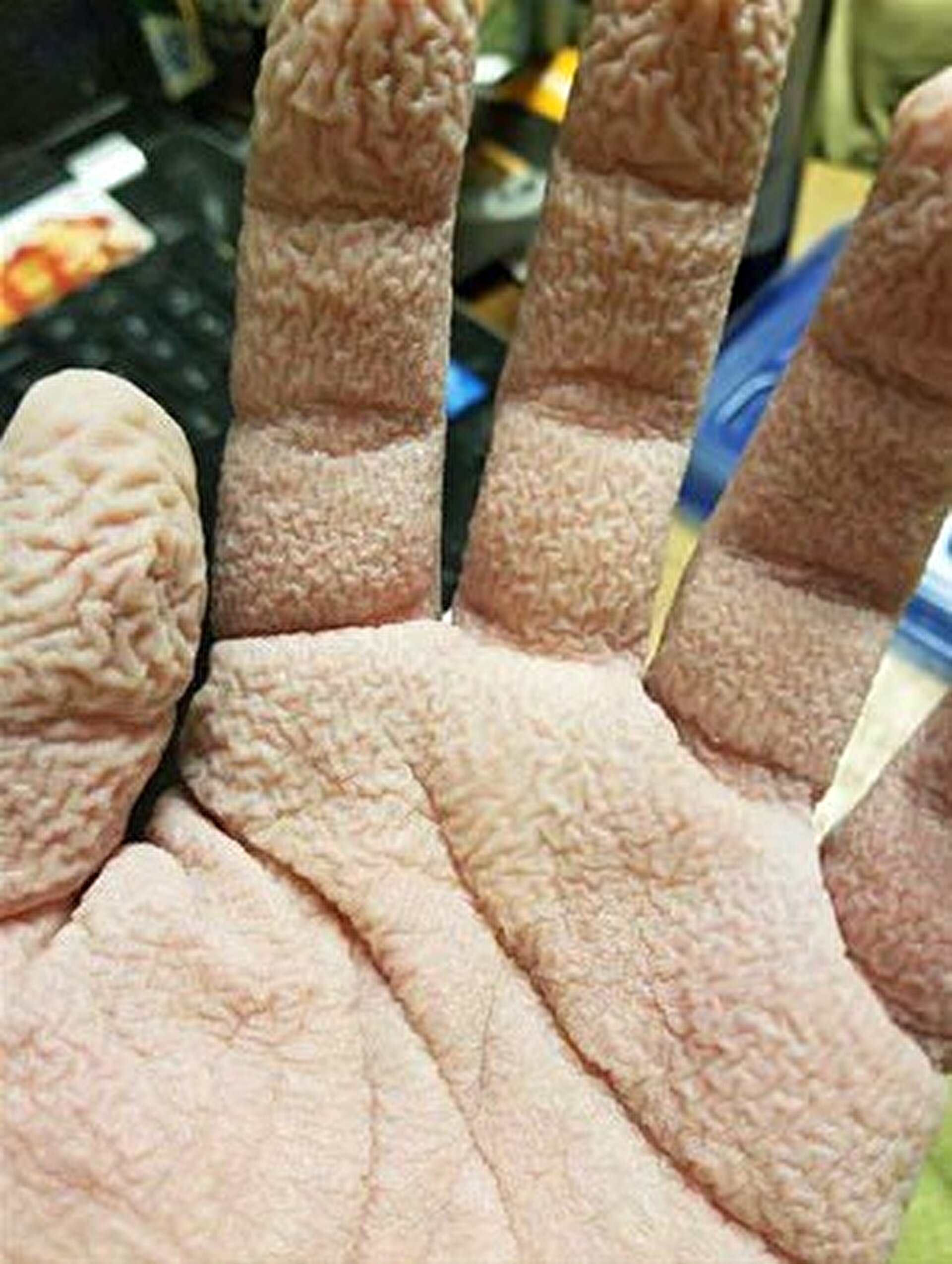 صور غريبة من حول العالم ولكنها حقيقية