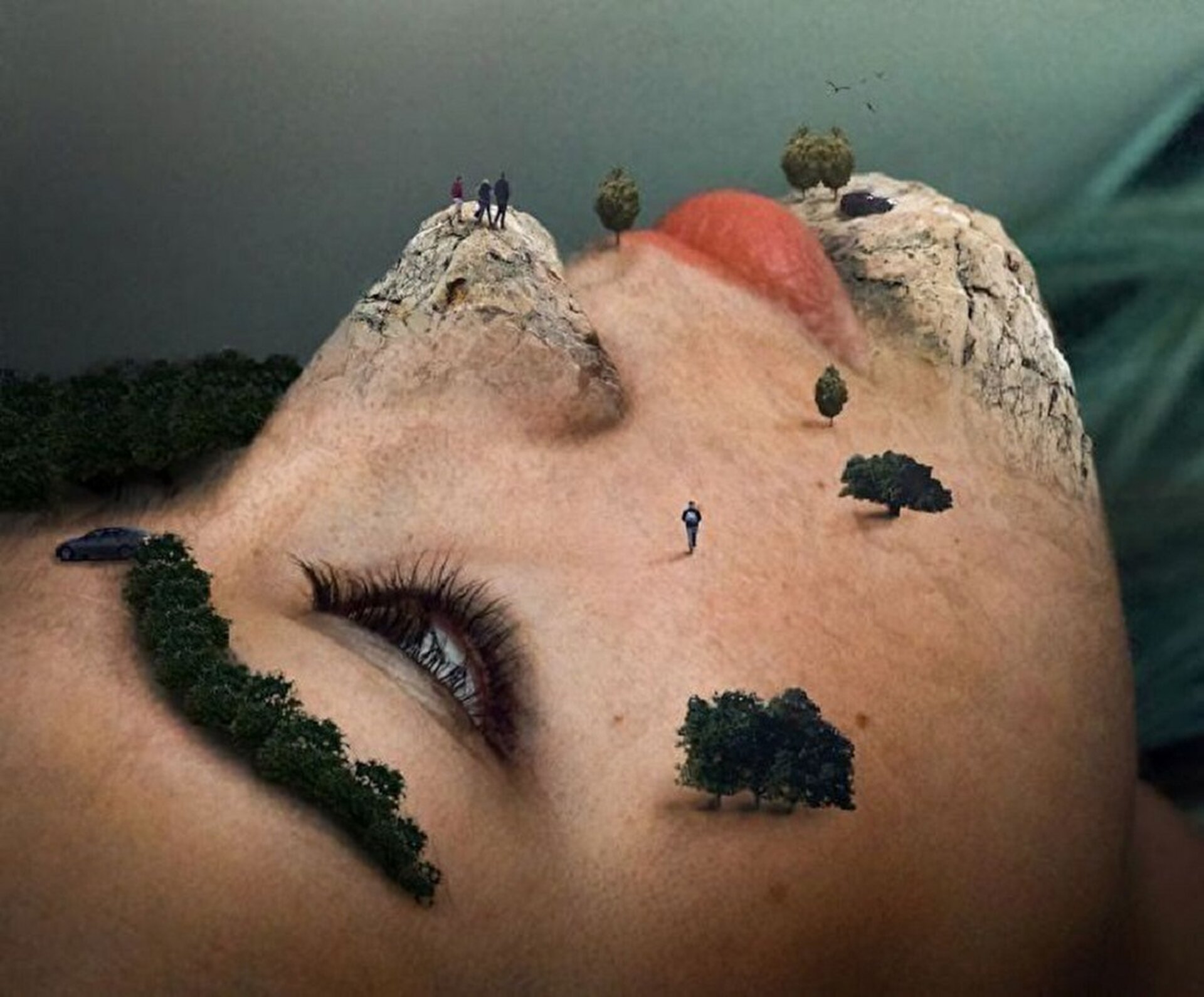 صور مذهلة صعب كشفها بسهولة