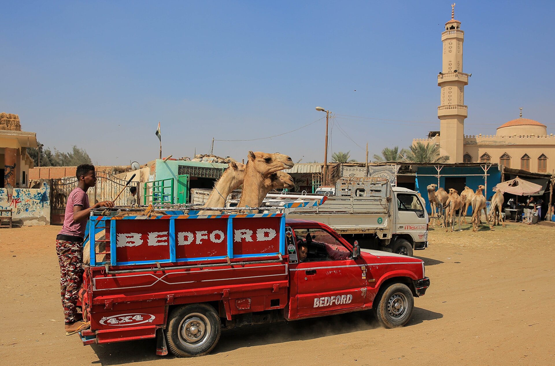 Preparations for Eid al-Adha in Egypt