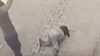gzt