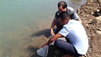 Eğirdir'de istilacı tehlikesi