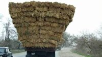 Saman yüklü tırdan 156 kilo esrar çıktı