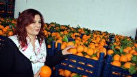 52 ton portakalı belediye aldı