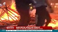 CHP'li belediyelerden tam gaz ağaç katliamı