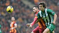 Aslan Timsah'a diş geçiremedi