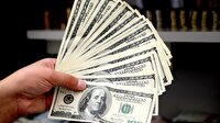 Dolar 2,45'in üstünde