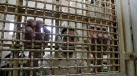7 bin Filistinli İsrail hapishanelerinde