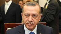 Erdoğan: İzleme heyetini doğru bulmuyorum