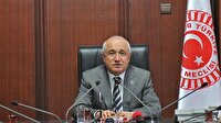 Çiçek: AP kararı yok hükmünde