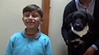 Köpeği acil servise götüren Ömer'e hayvanseverlerden destek