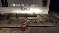 Hatay'da uyuşturucu hap ele geçirildi