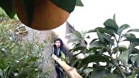 Laz işi selfie kamışıyla portakalla bile selfie yapabilirsiniz