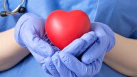 Organ bağışında uluslararası işbirliği