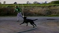 Köpeğine hortumu verip kendini ıslattıran adam