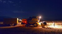 Aşırı sıcaklar yüzünden hasat gece yapılıyor