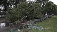 Manisa'da fırtınadan ağaçlar devrildi