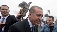 Uçan keklik Erdoğan'ın başına kondu