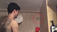 Duvardaki örümceği yakalama konusunda aşırı beceriksiz adam