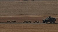 İki PKK'lı sınırda teslim oldu