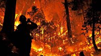 California’da yangın alarmı
