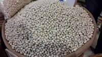 Kuru fasulye ucuzladı