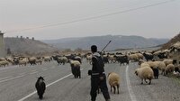 Siirt'te aylalardan dönüşler sürüyor