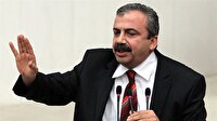 Sırrı Süreyya sırtını Öcalan'a dayadı