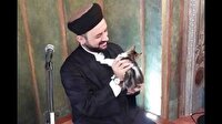Sokak kedilerine caminin kapılarını açan imam