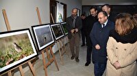 Uzuntarla Tabiat Parkı’nda kuş manzaraları