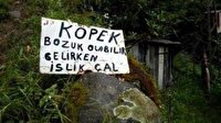 Yurdum insanı her daim güldürüyor