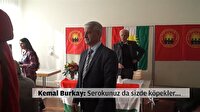 Kemal Burkay'dan PKK'lılara: Defolun alçaklar