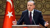 Erdoğan'dan HDP'li vekiller için Meclis'e çağrı